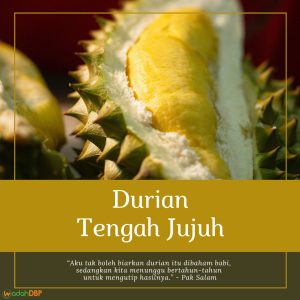 Durian Tengah Jujuh