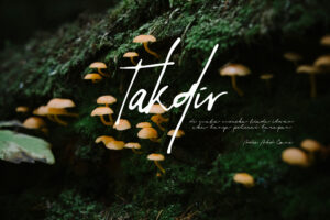 TAKDIR