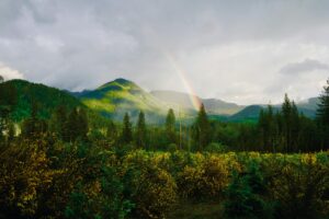 Pelangi dan Hujan