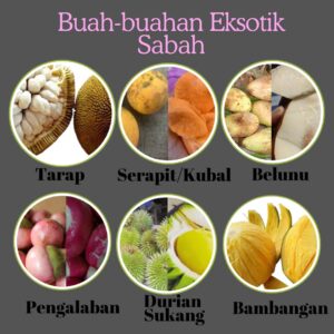 Kenali Keunikan Buah-buahan Eksotik Sabah