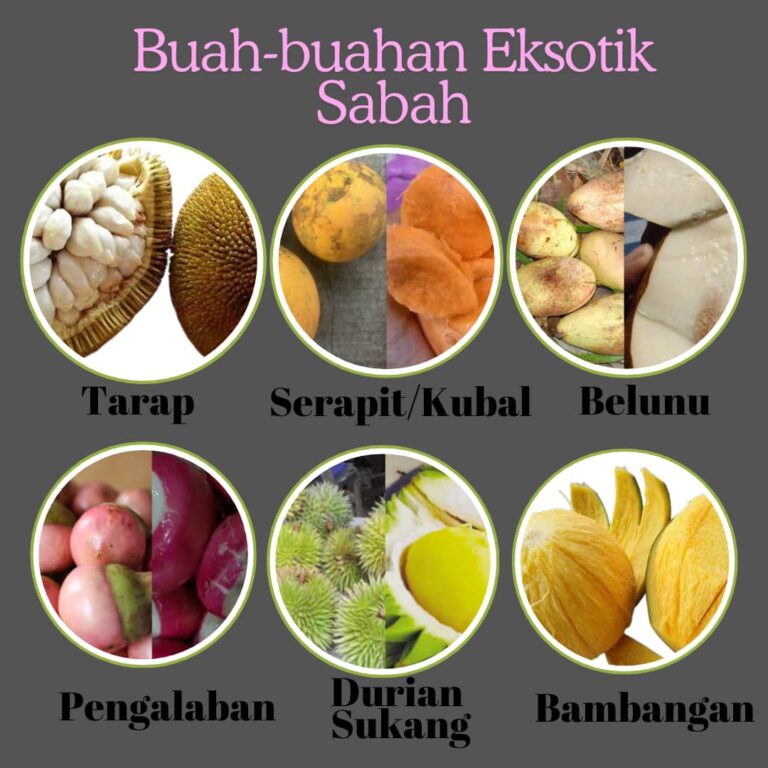 Kenali Keunikan Buah-buahan Eksotik Sabah