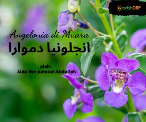 انجلونيا دموارا