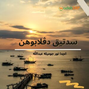 سدتيق دڤلابوهن
